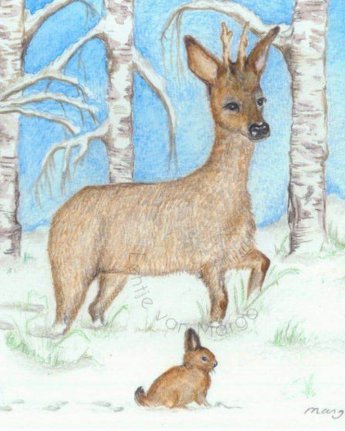 eentjevanmargo dieren winter bos ginger fairy