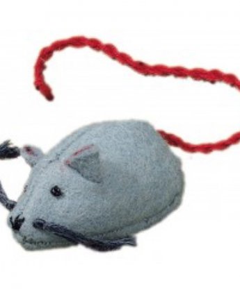 Glückskäfer | Muis