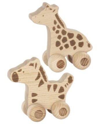 goki zebra ginger fairy