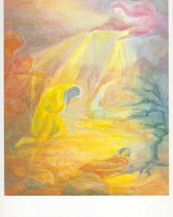 hauschka hagar ismael ginger fairy