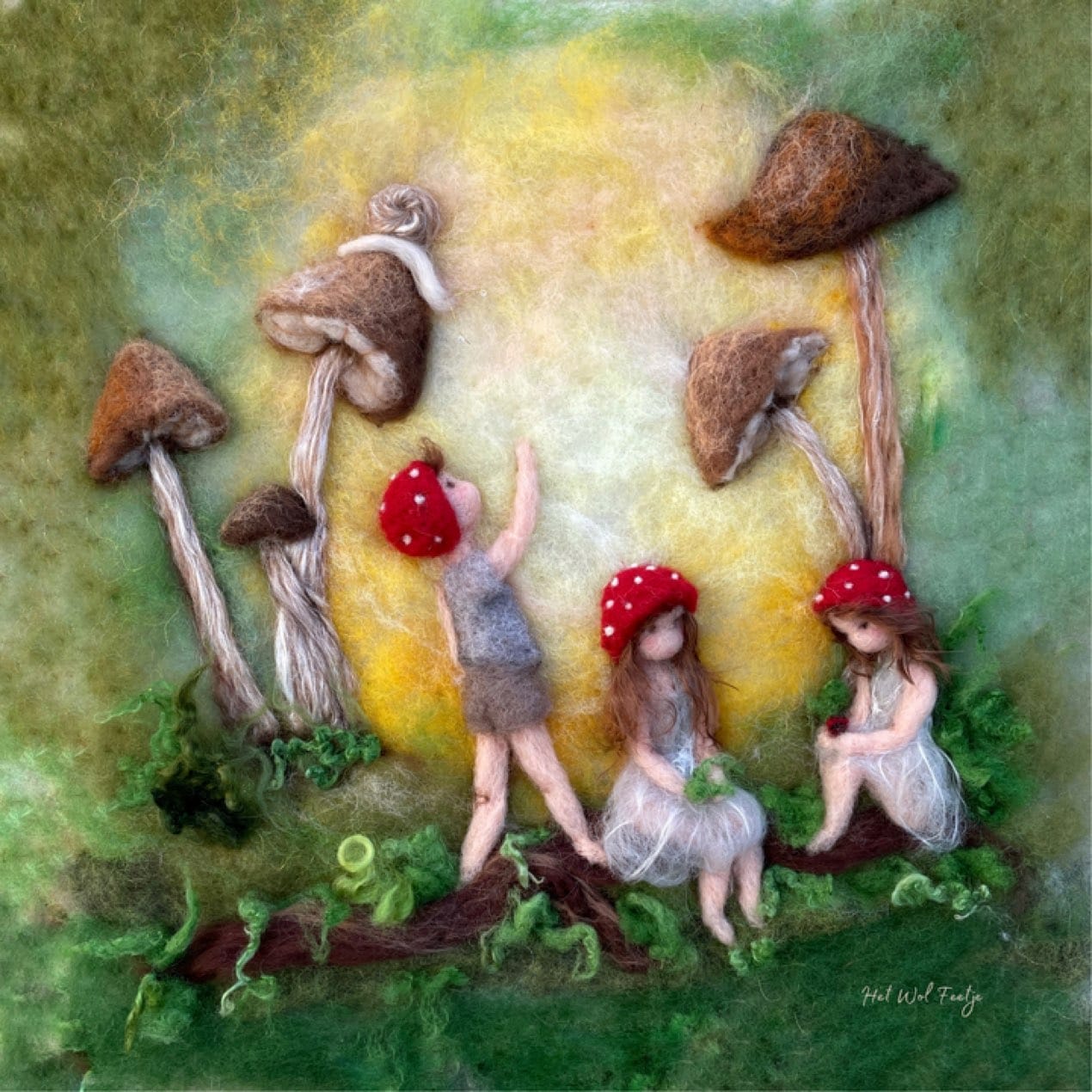 het wol feetje toverplaat paddenstoel kinderen ginger fairy