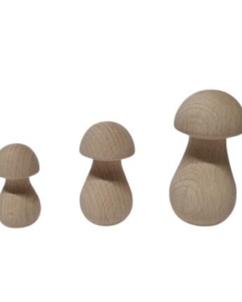 houten paddenstoel ginger fairy