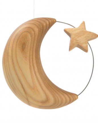 maan ster groot ginger fairy