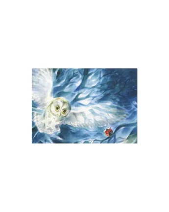 marie laure viriot little owl ginger fairy