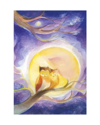 marie laure viriot owl night ginger fairy