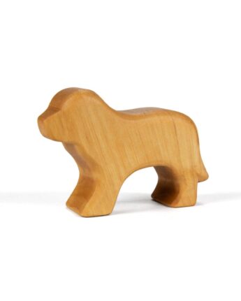 ostheimer hout hond ginger fairy
