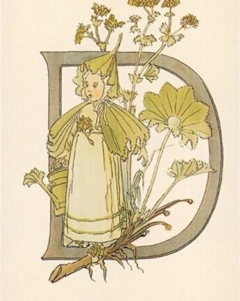 ottilia adelborg d ginger fairy
