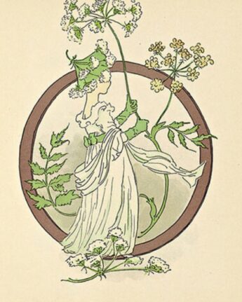 ottilia adelborg o ginger fairy
