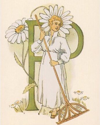 ottilia adelborg p ginger fairy