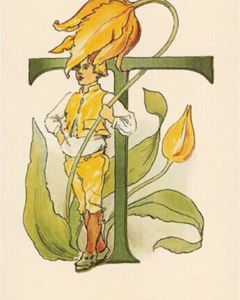ottilia adelborg t ginger fairy