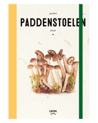pocket paddenstoelenboek ginger fairy